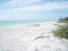 海灘,白,沙