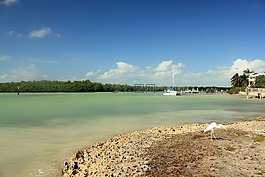 海灘,海岸線,海岸