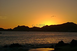 海灘,日落,剪影
