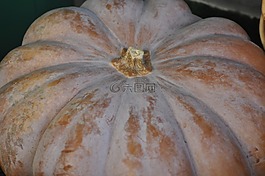 南瓜,蔬菜,橙色