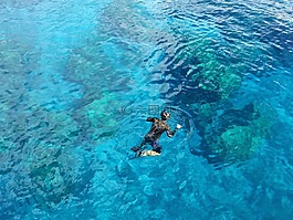 浮潜,水,海洋