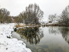 冬天,雪,寒冬