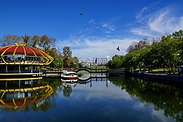城市公園,池塘,反射