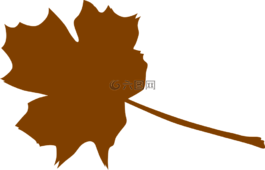 楓,棕色,植物