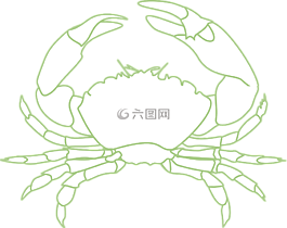 蟹,甲殼動物,海上生活