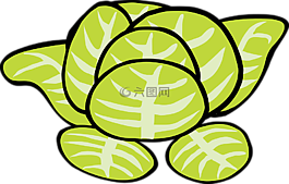 生菜,蔬菜,食品