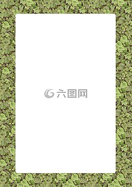 圖片框,框架,大綱