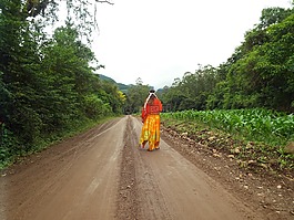 路,性質(zhì),景觀