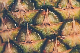 熱帶,異國情調(diào),水果