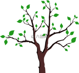分支機構,綠色,勞瑞1