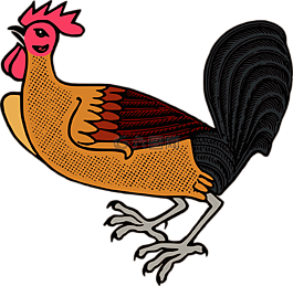 動物,鳥,雞