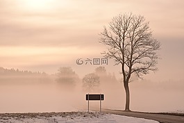黎明,性質(zhì),霧