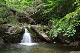 吉日,龍沼瀑布,大自然