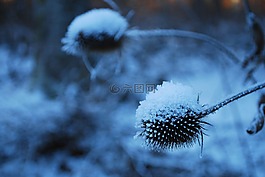 冬天,藍(lán)色,雪