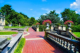 花園,旅行,公園