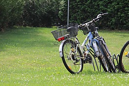 自行車(chē),草地,已完成
