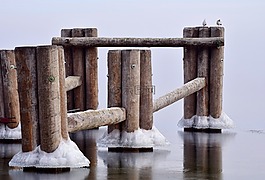 網(wǎng)站,木,冰