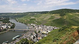 mosel,葡萄酒,葡萄园