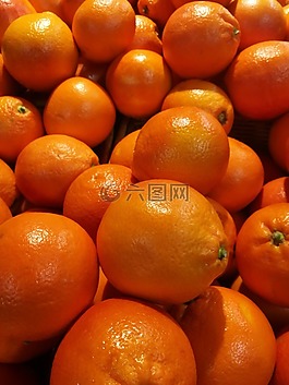 水果,食品,柑橘×tangerina