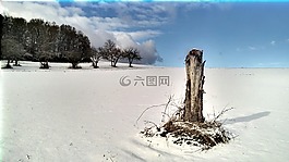 冬天,雪,schneelanschaft