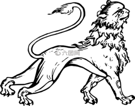 動(dòng)物,獅子,哺乳動(dòng)物