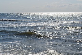 海灘,海洋,水