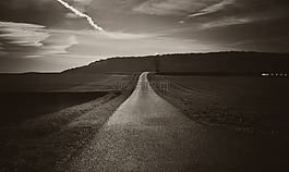 路,烏賊墨,全景