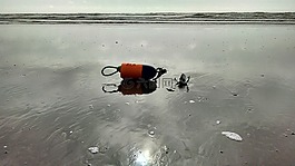海岸,釣魚(yú),海
