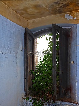 窗口,被遺棄,老