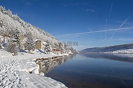 景觀,雪,樹