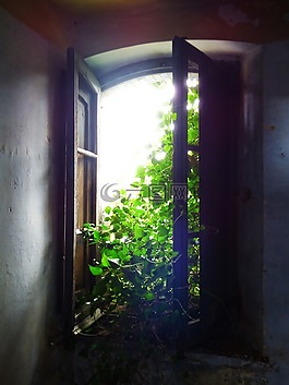 窗口,老,被遺棄