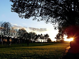 日出,公園,秋