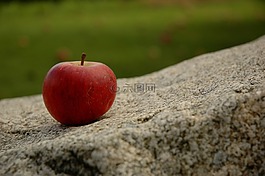 蘋果,紅色,食品