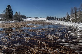 湖,景觀,雪
