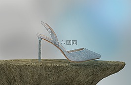 鞋,集合,購(gòu)物
