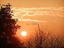 天空,日出,景觀