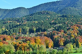 山,秋季,景觀