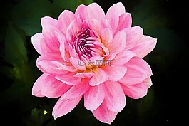 繪畫(huà),油畫(huà),照片油畫(huà)
