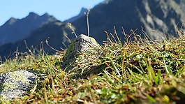 山,石,草地