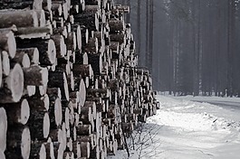 冬天,雪,日志