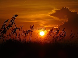 日落,晚上,海灘日落