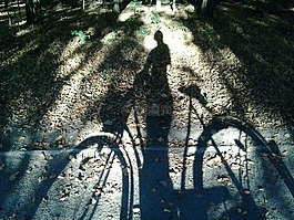 自行車,森林,陰影