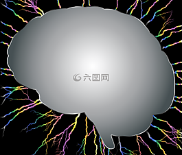 腦,頭,頭骨