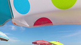 天空,梧桐,夏季