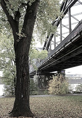 鐵路橋梁,橋,鋼