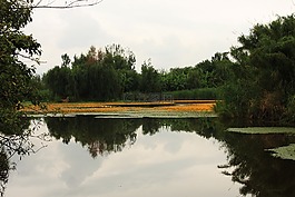 天空,自然,空間