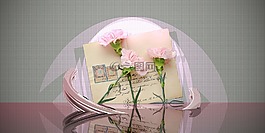 丁香,信封,鮮花