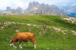 山,牛,性质