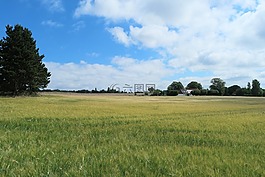 夏,標,農(nóng)業(yè)