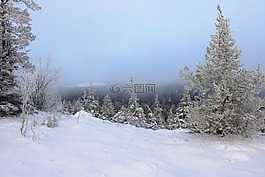 雪,霧,冬季